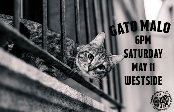 Gato Malo flyer img